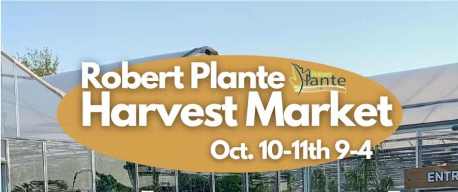 Robert Plante Thanksgiving Market